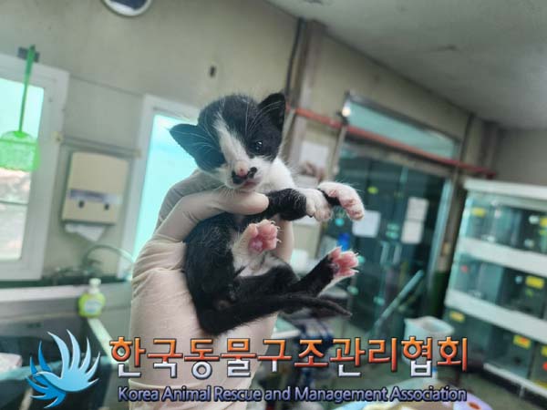 한국동물구조관리협회_441414202400774
